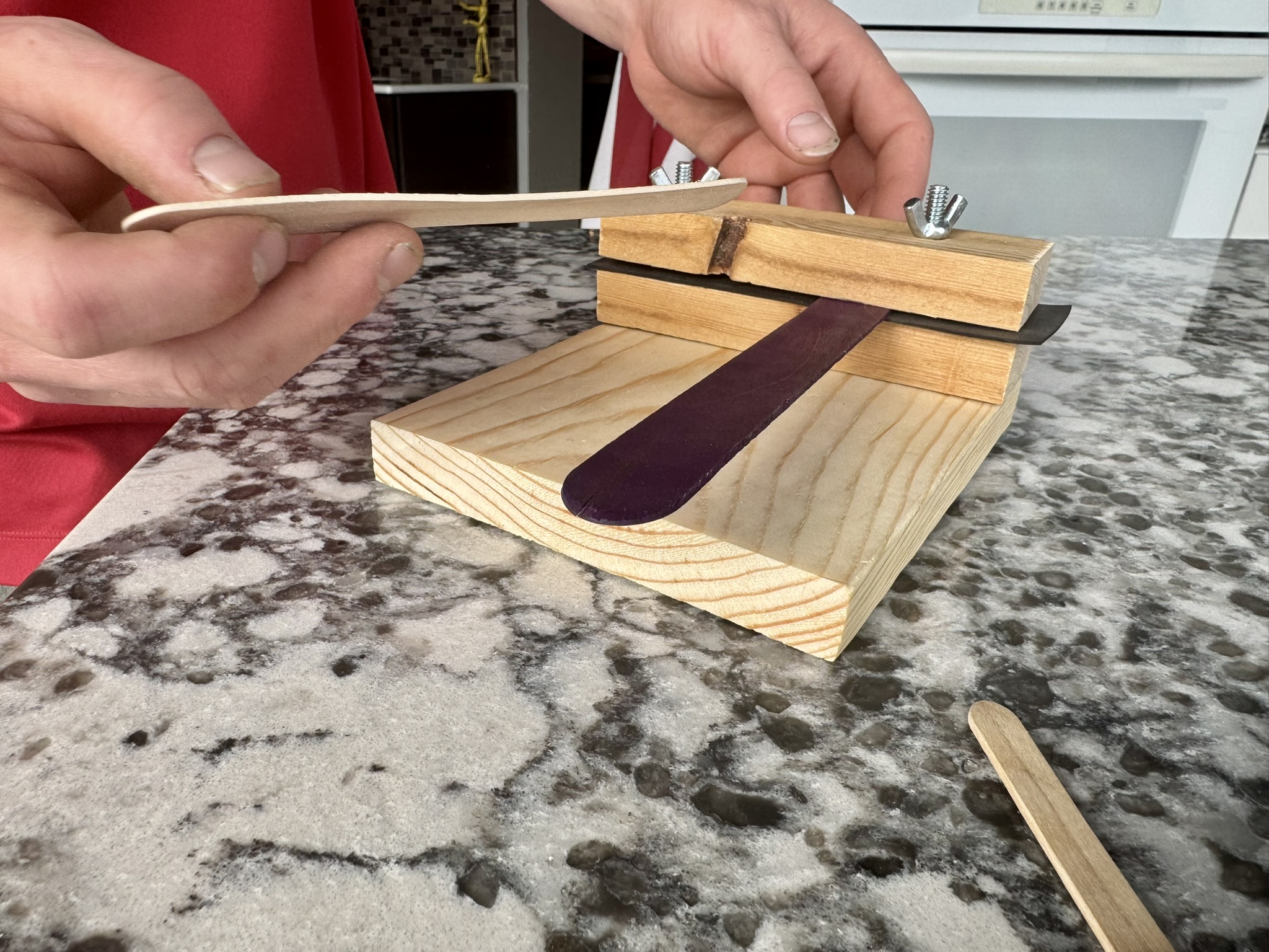 insert popsicle sticks